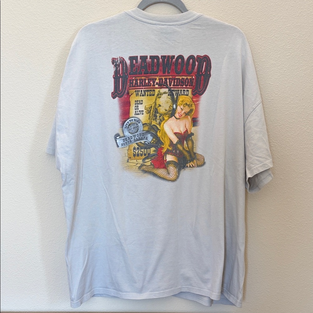 Harley Davidson tee Deadwood South Dakota Y2K 3xl